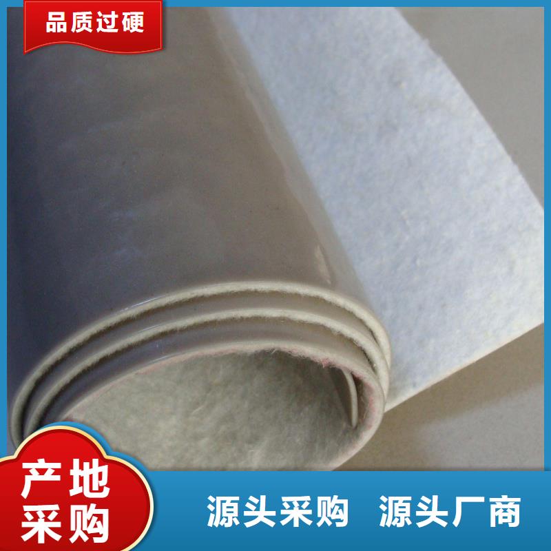 EVA防水板凸结点钢塑土工格栅质量检测