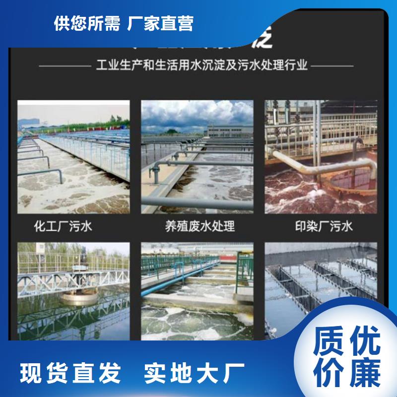 空心球填料厂家现货