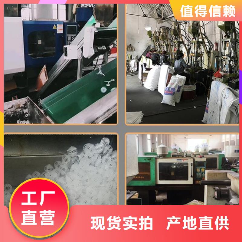 空心球填料厂家货源充足