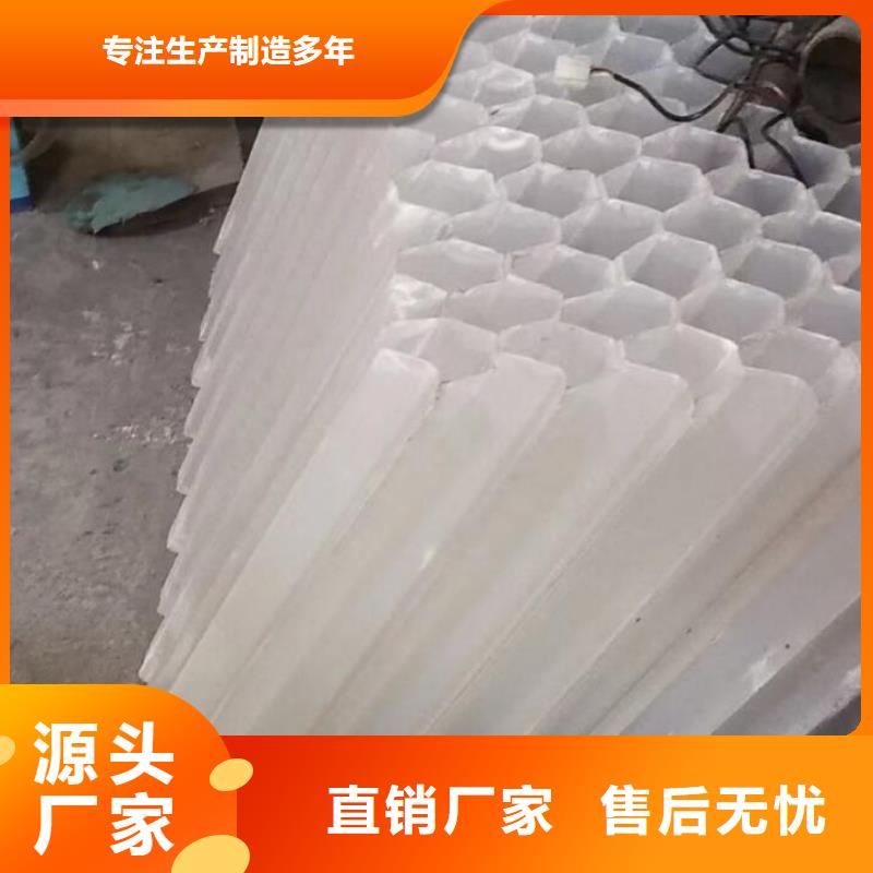 斜管填料
指导