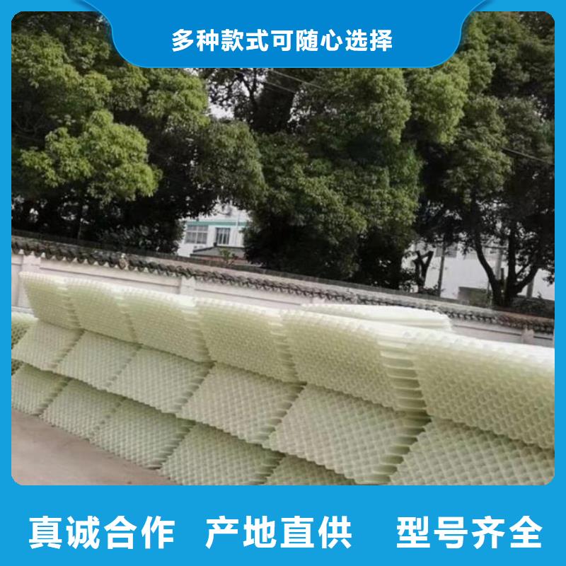 蜂窝斜管聚丙烯材质六角斜管填料厂家供货