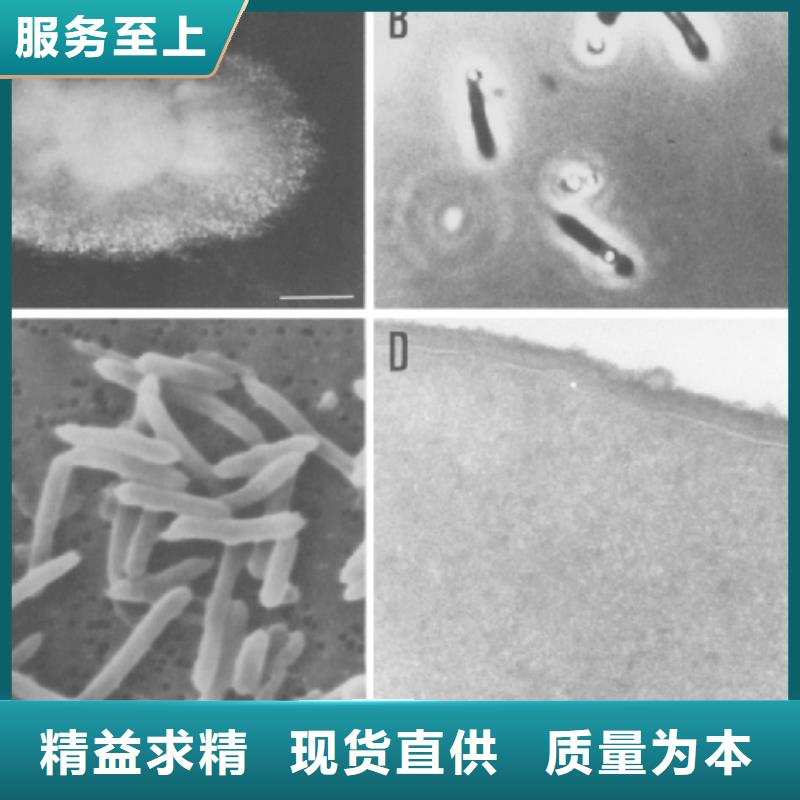 碳源在污水处理中的作用是什么实体厂家