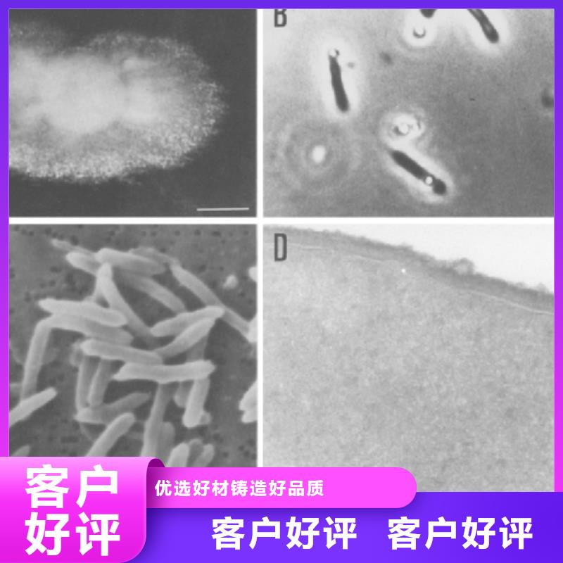 固体醋酸钠报价