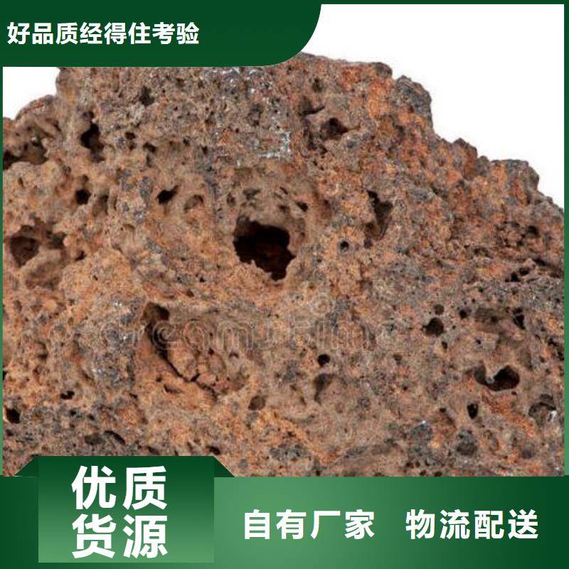 反硝化池用活山岩价格
