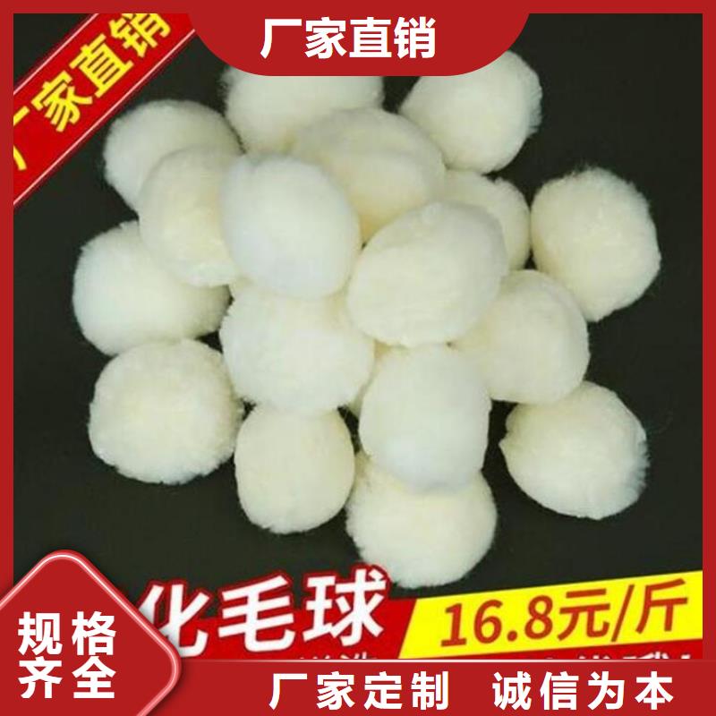 纤维球_蜂窝斜管支持拿样