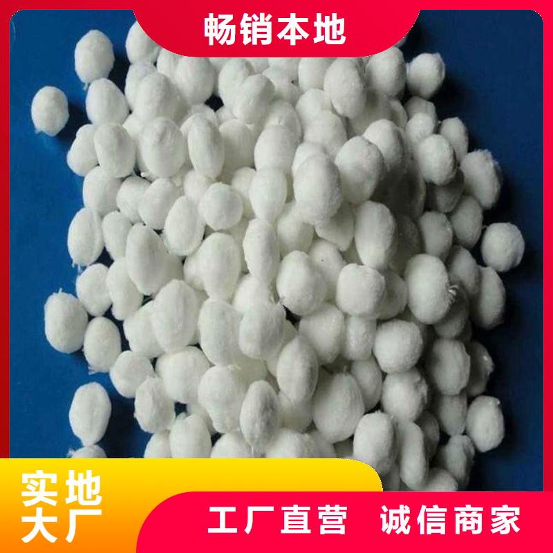 改姓纤维球厂家直供