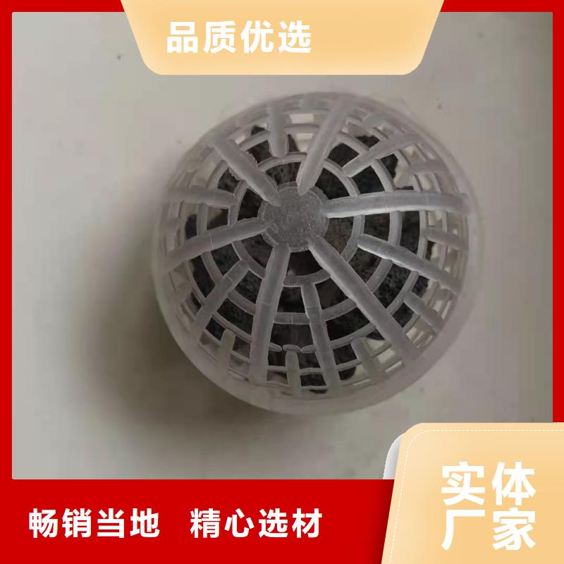 空心球-果壳滤料种类丰富