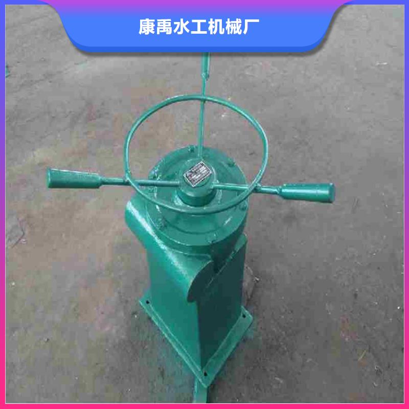闸门及启闭机实力厂家