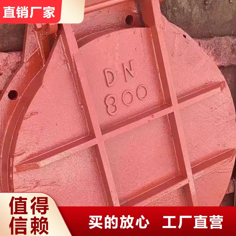 复合闸门厂家报价