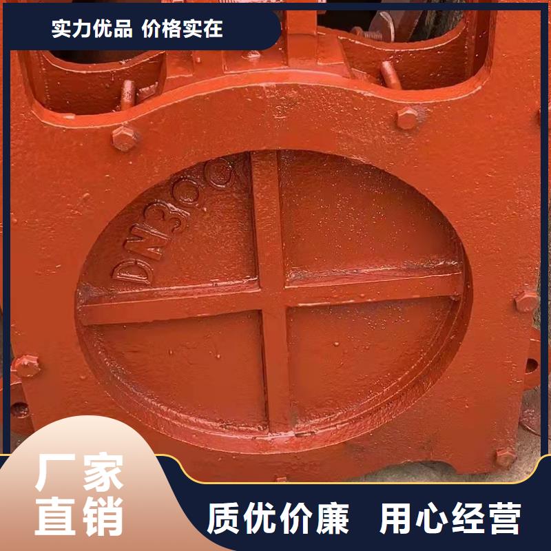 水电站铸铁闸门种类齐全