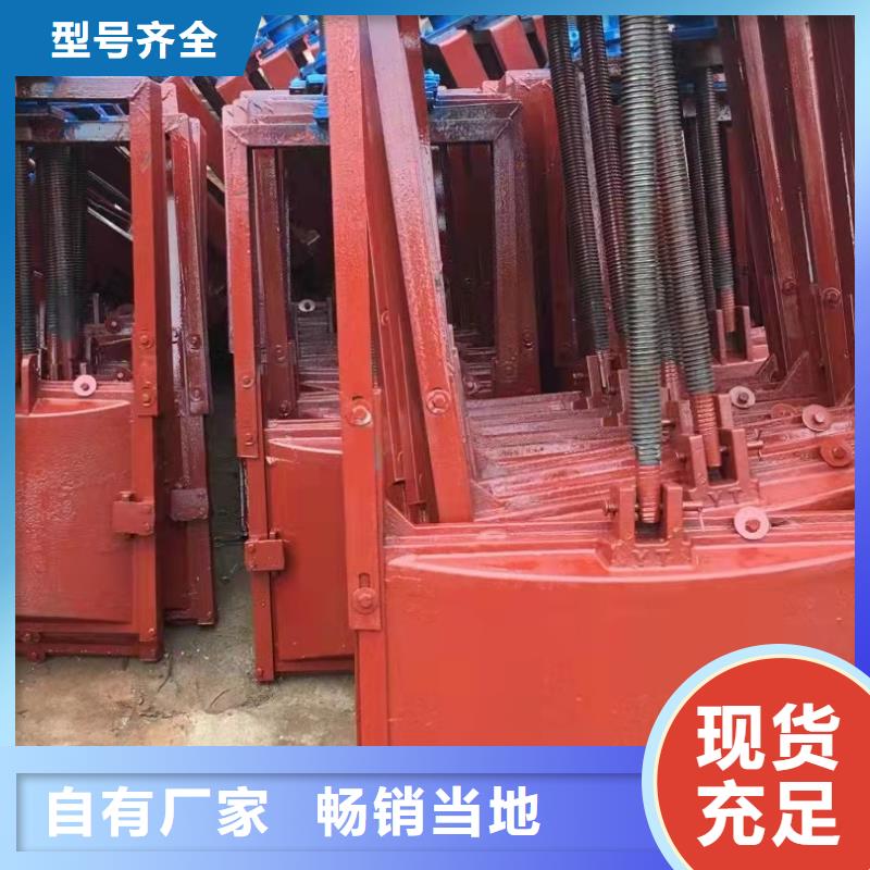 复合闸门生产厂家