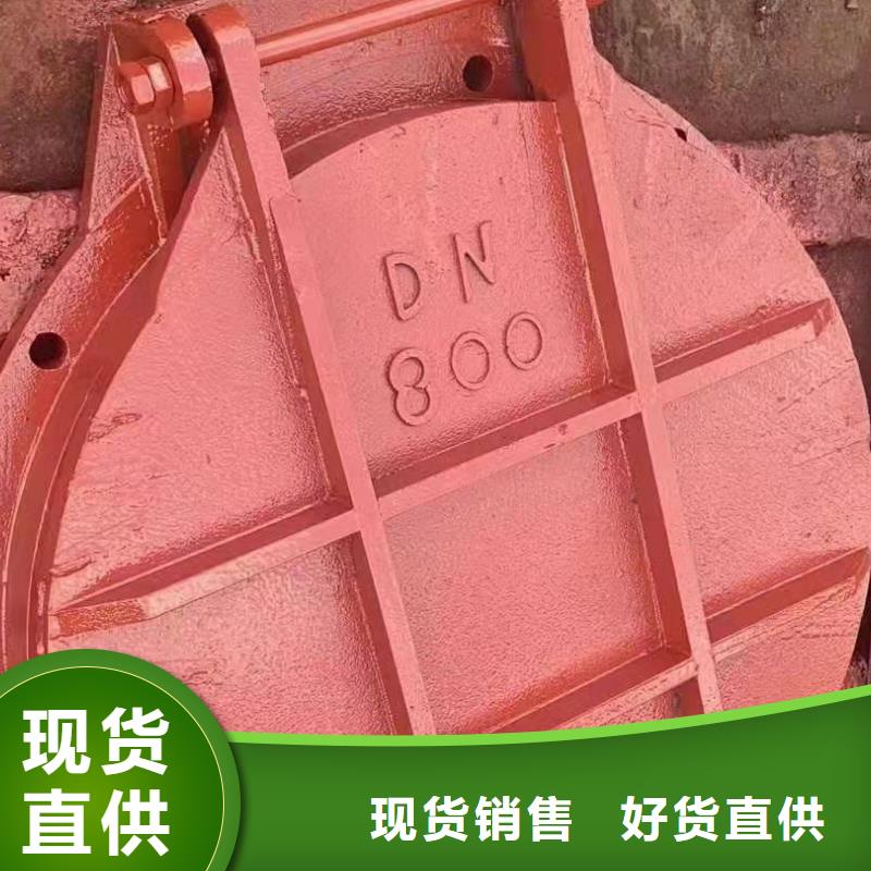 铸铁闸门卷闸门多年实力厂家