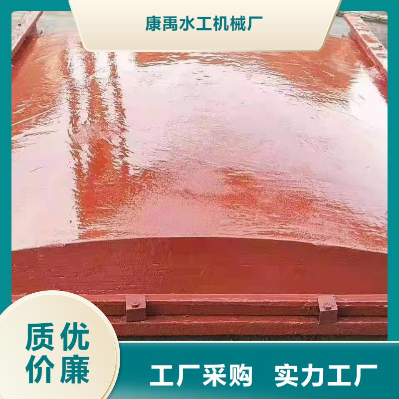 整体式铸铁闸门这就是真相!