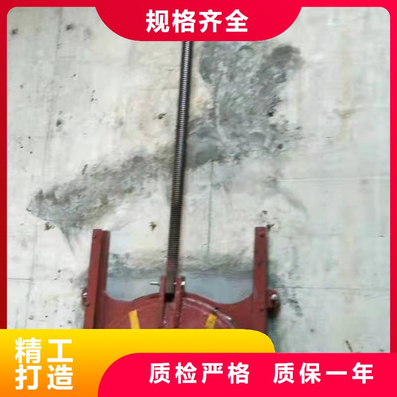 手提铸铁闸门工厂直销