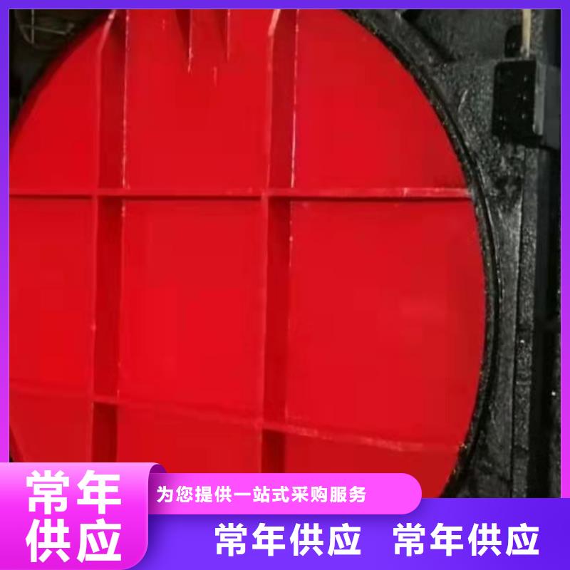 附壁式铸铁闸门厂家