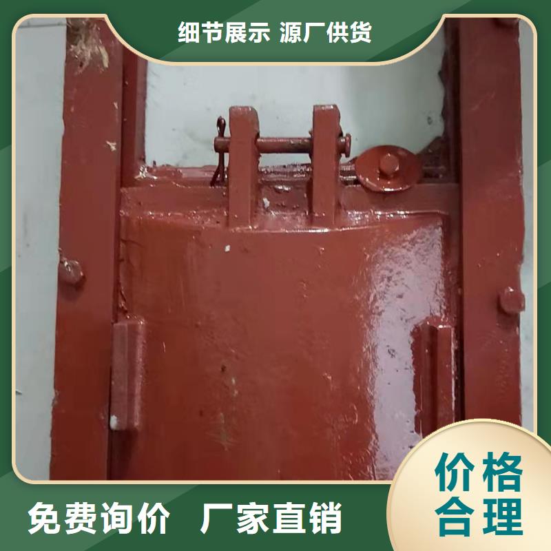水电站铸铁闸门种类齐全