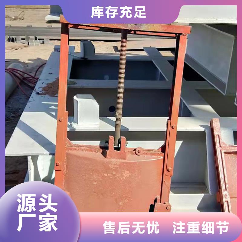 扇形闸门源头厂家