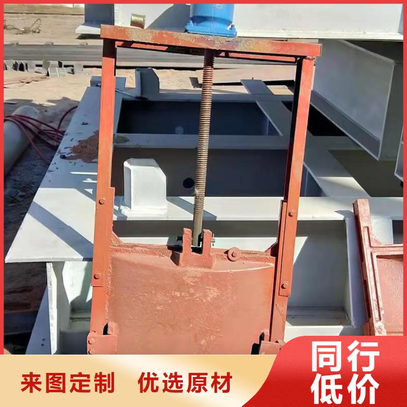 手电两用铸铁方闸门厂家
