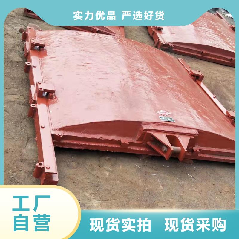 乐东县水电站铸铁闸门出厂价