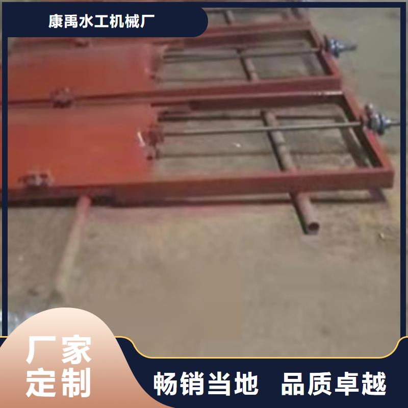 双向铸铁闸门种类齐全