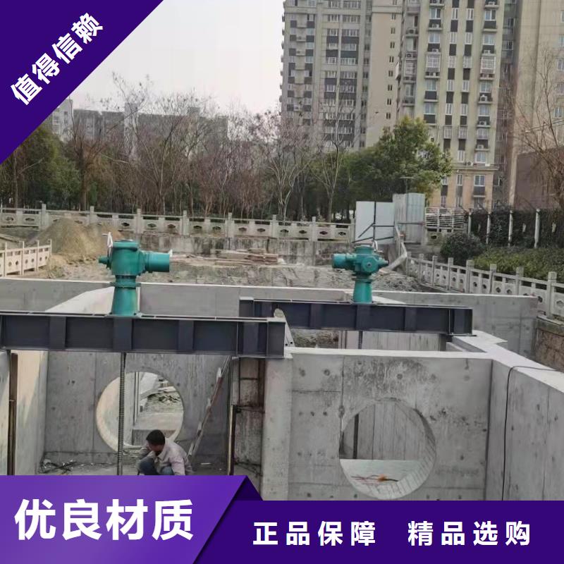 手提铸铁闸门规格齐全