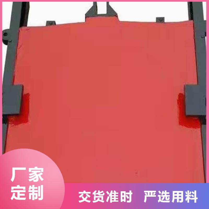 双向止水闸门欢迎电询