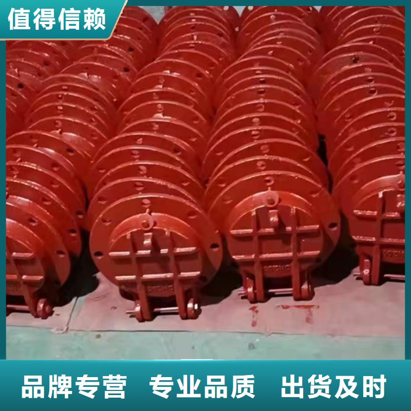 铸铁拍门生产厂家