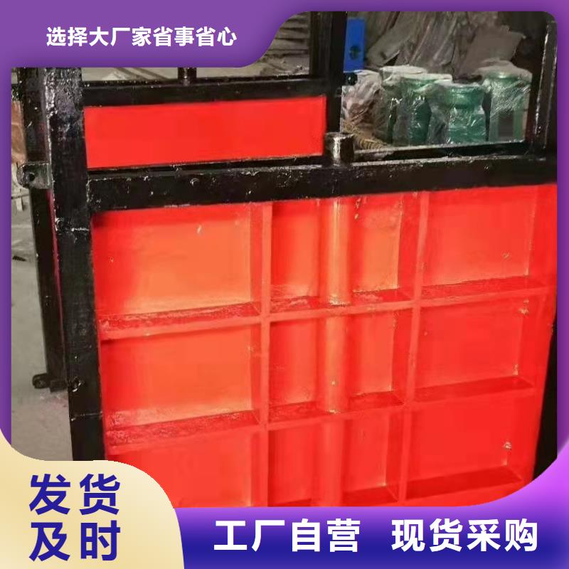 手电两用铸铁方闸门生产厂家
