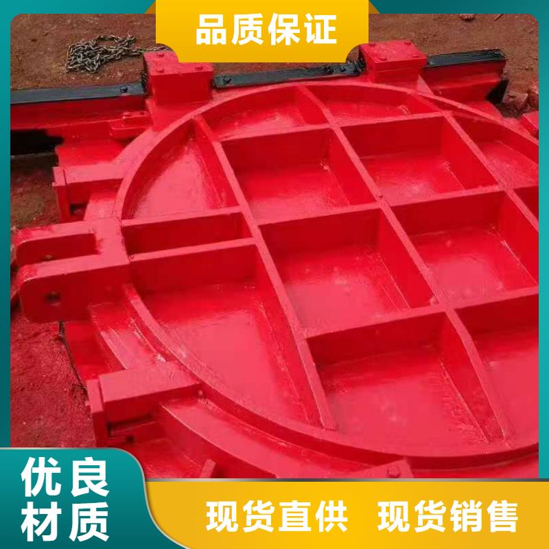 铸铁闸门欢迎惠顾