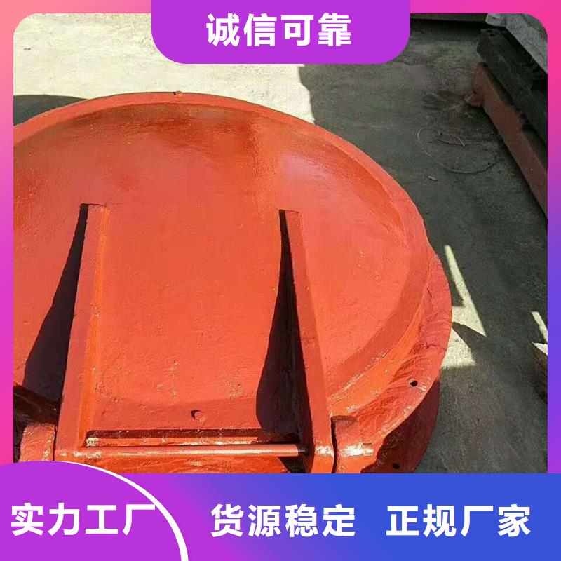 扇形闸门欢迎电询