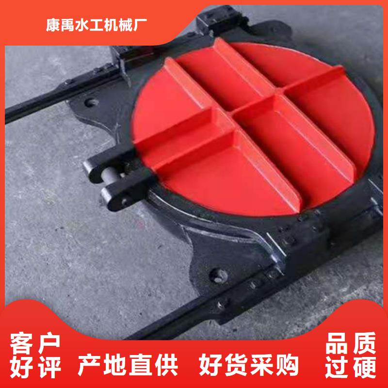 复合闸门生产厂家