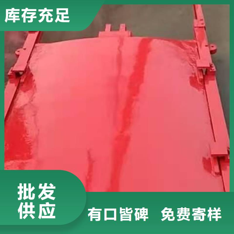 水电站铸铁闸门发货快品质高
