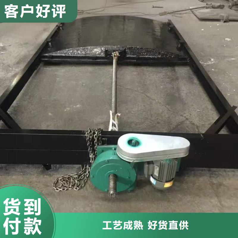 现货供应河道铸铁闸门_优质厂家