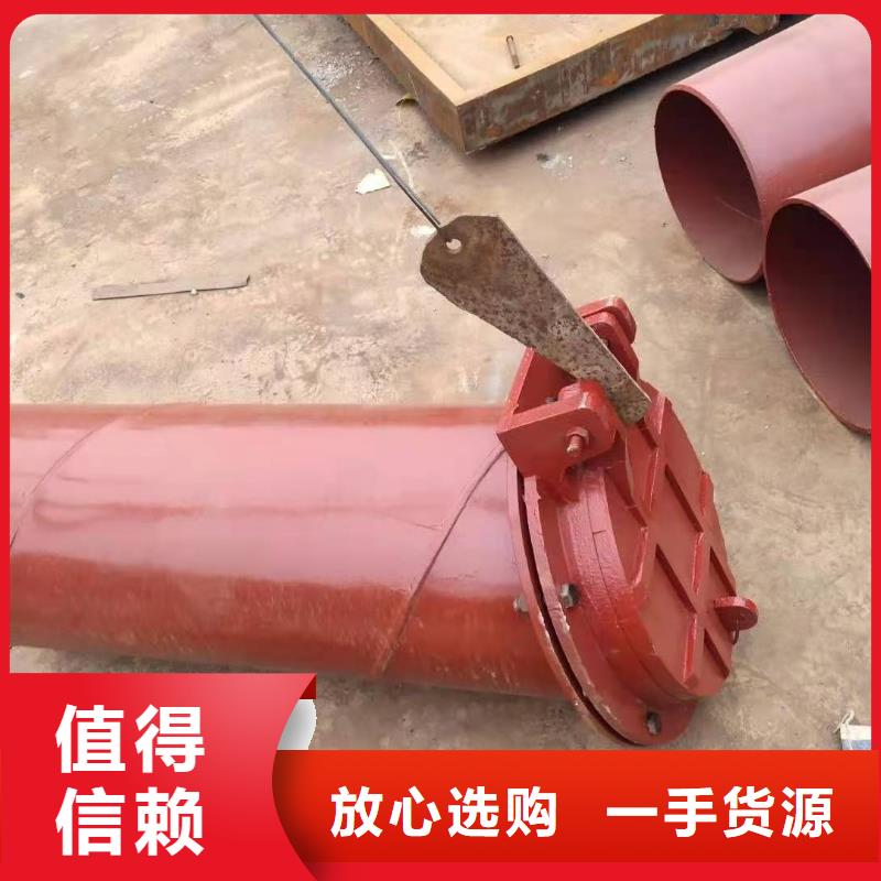 规模大的泵站铸铁闸门厂家