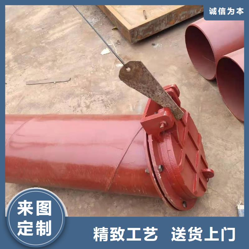 复合闸门厂家供应批发