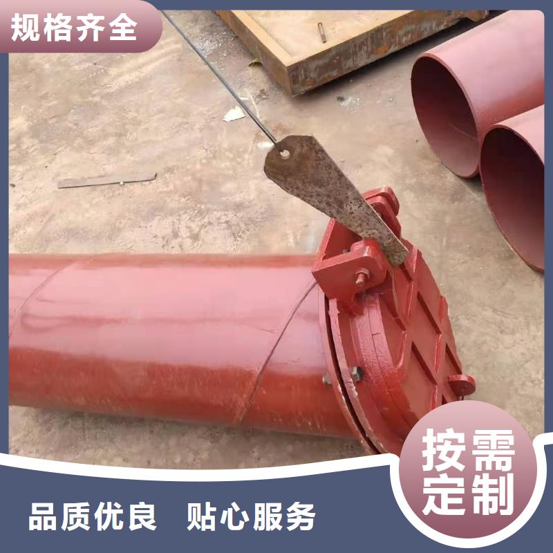 泵站铸铁闸门规格齐全