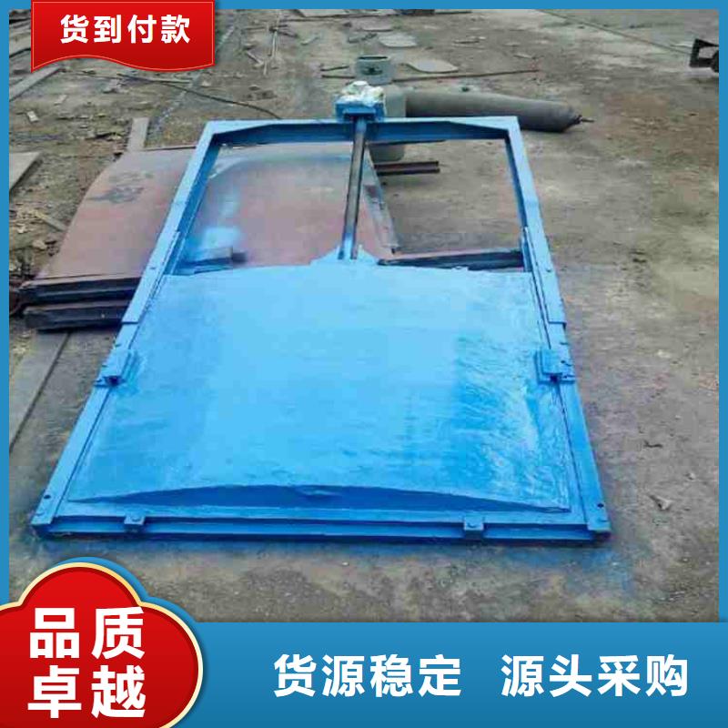铸铁防潮闸门多少钱