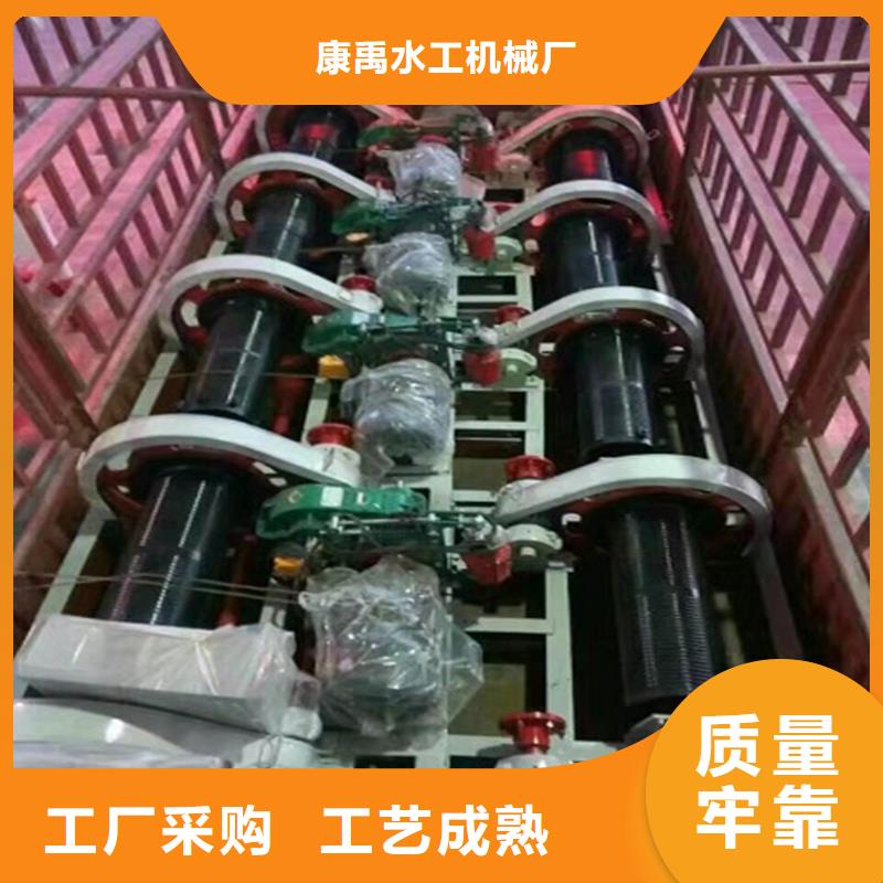 儋州市qpq卷扬启闭机品质卓越