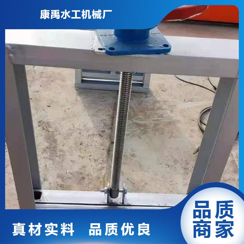 翻板闸门价格实惠