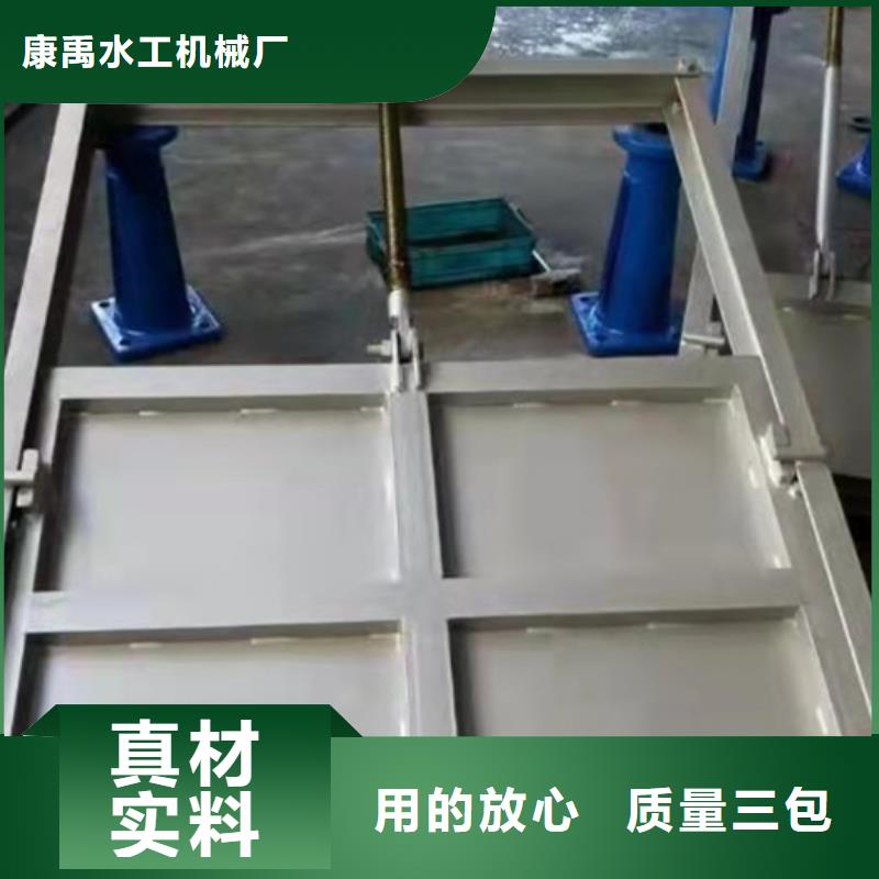 底轴液压闸门欢迎电询