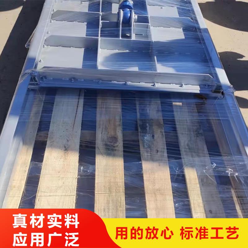 钢坝闸门支持定制