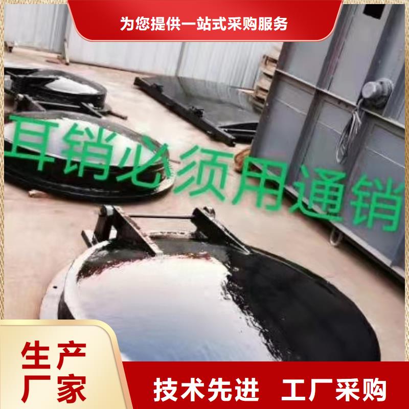 液压翻板闸门欢迎惠顾
