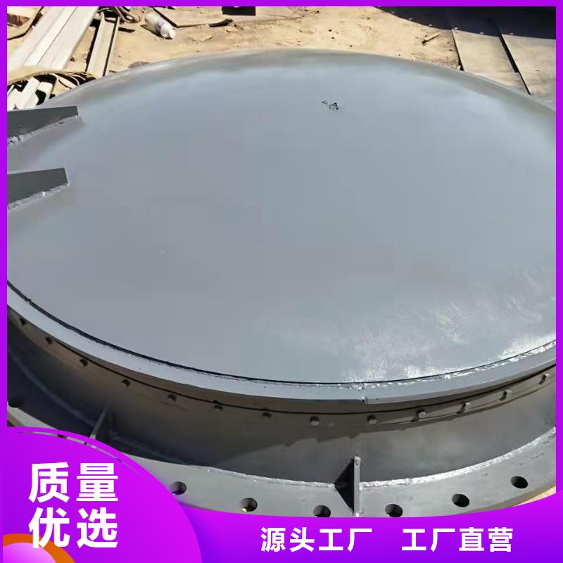 泵站上卧式闸门可定制