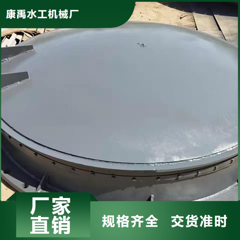 泌阳县泵站上卧式闸门-泵站上卧式闸门保量