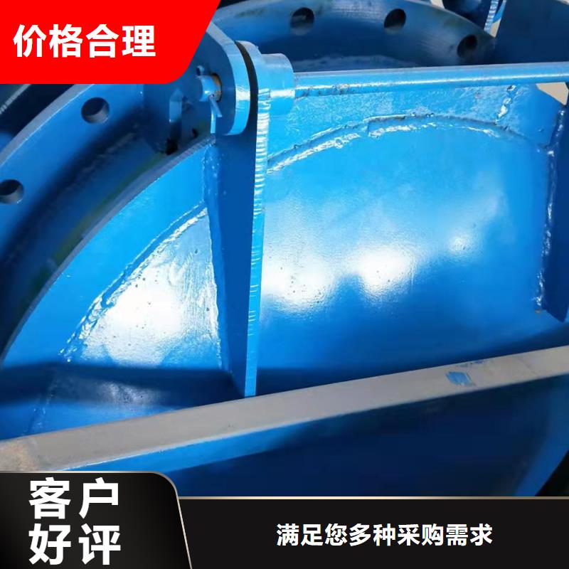 【优选】泵站上卧式闸门源头厂家