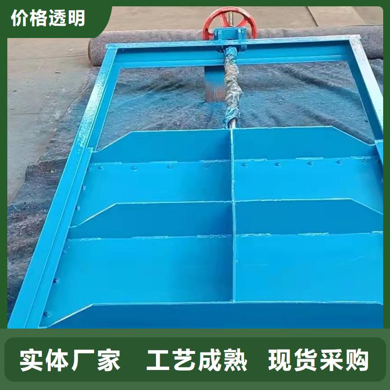 钢闸门一手货源源头厂家