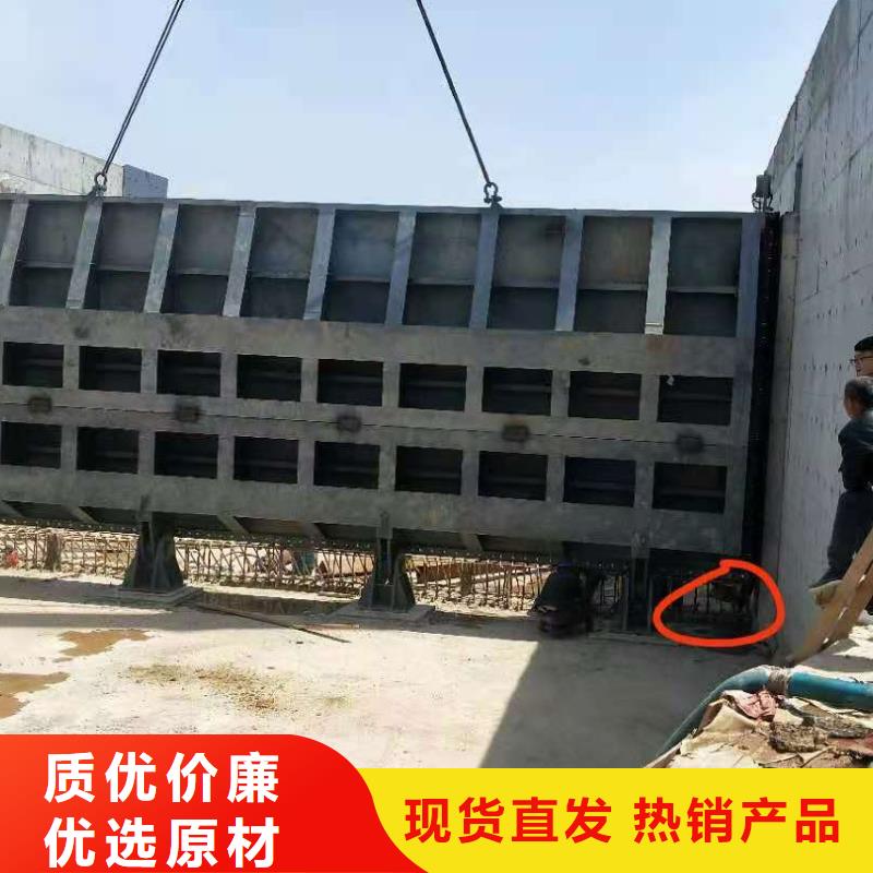 翻板闸门生产厂家
