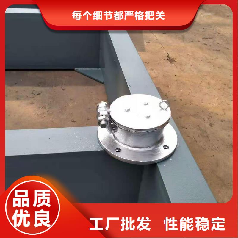 钢制拍门可定制
