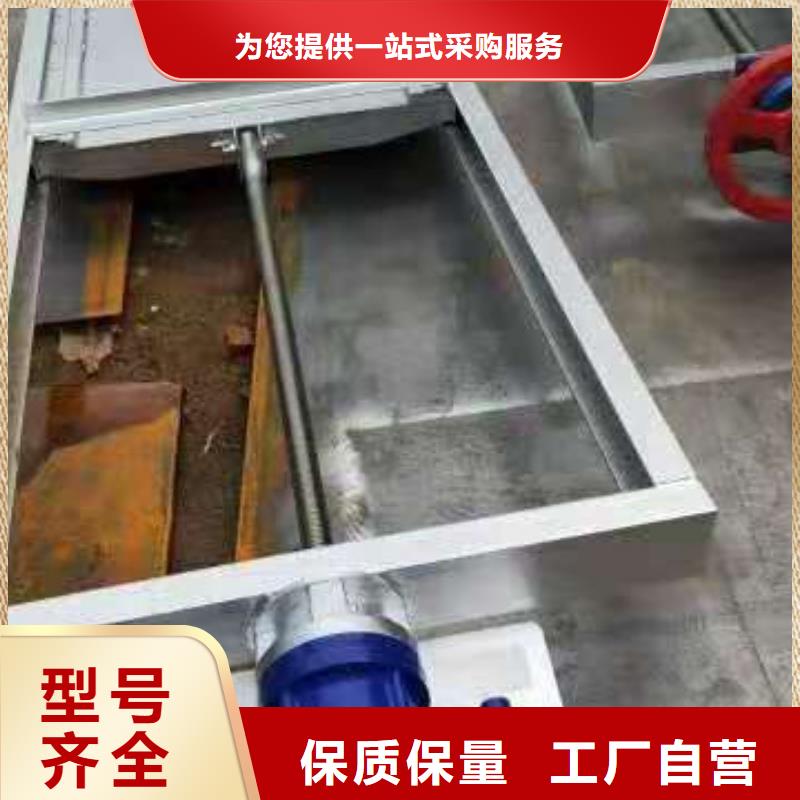  钢闸门源厂定制