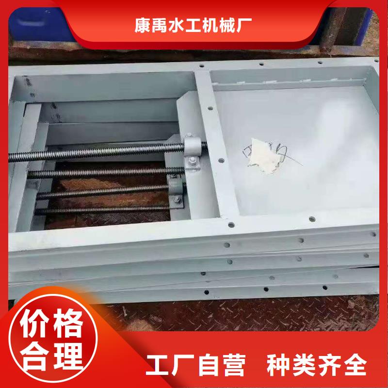 钢闸门打造行业品质
